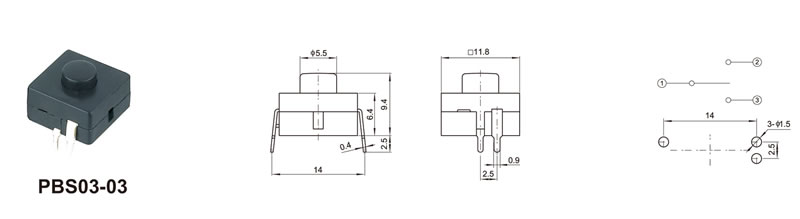 p21_07.jpg